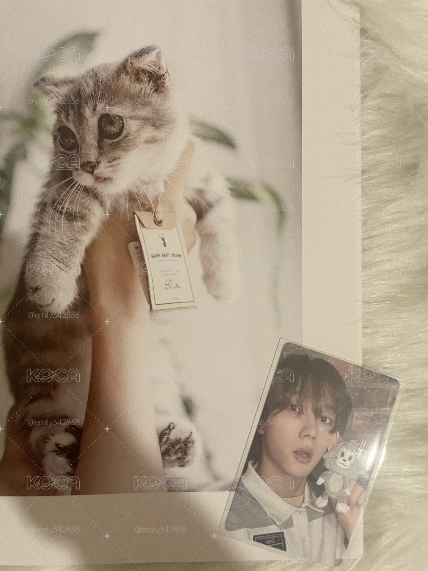 【BND】🐈HMV ld
