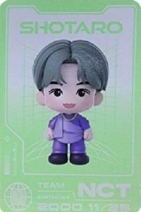 NCT時期 周邊卡 隨機公仔卡