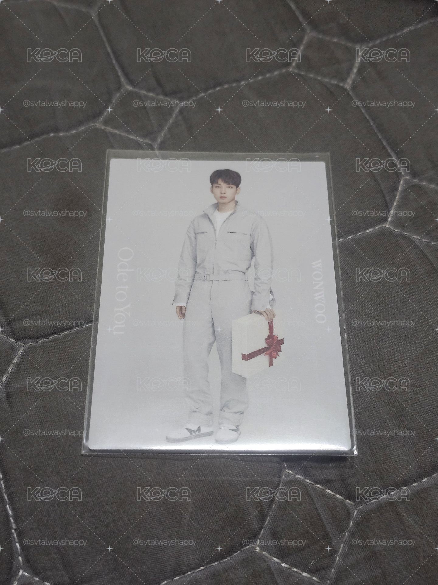 2019 OTY 日本卡包卡 圓佑