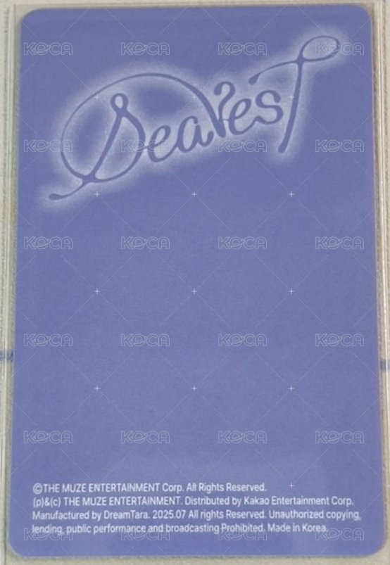 Dearest PB專Dewy版 專輯卡  背面