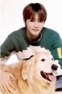 NCT時期 周邊卡 馬卡龍卡