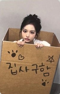 正規一 ms 線下 7.0 簽售卡 尋找鏟屎官 ver.