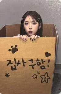 正規一 ms 線下 7.0 簽售卡 尋找鏟屎官 ver.