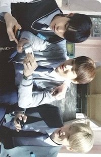 Perfume  1.0 隨機卡 
