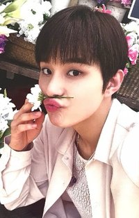 Perfume  wm 特典卡 