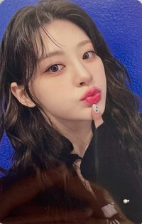 Teddy Bear br 簽售卡 