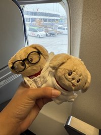 Ching（隨時掉落新卡版