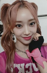 泰迪熊 br 特典卡 