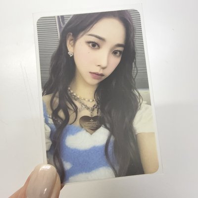 藍天白雲柚 美網柚 大損