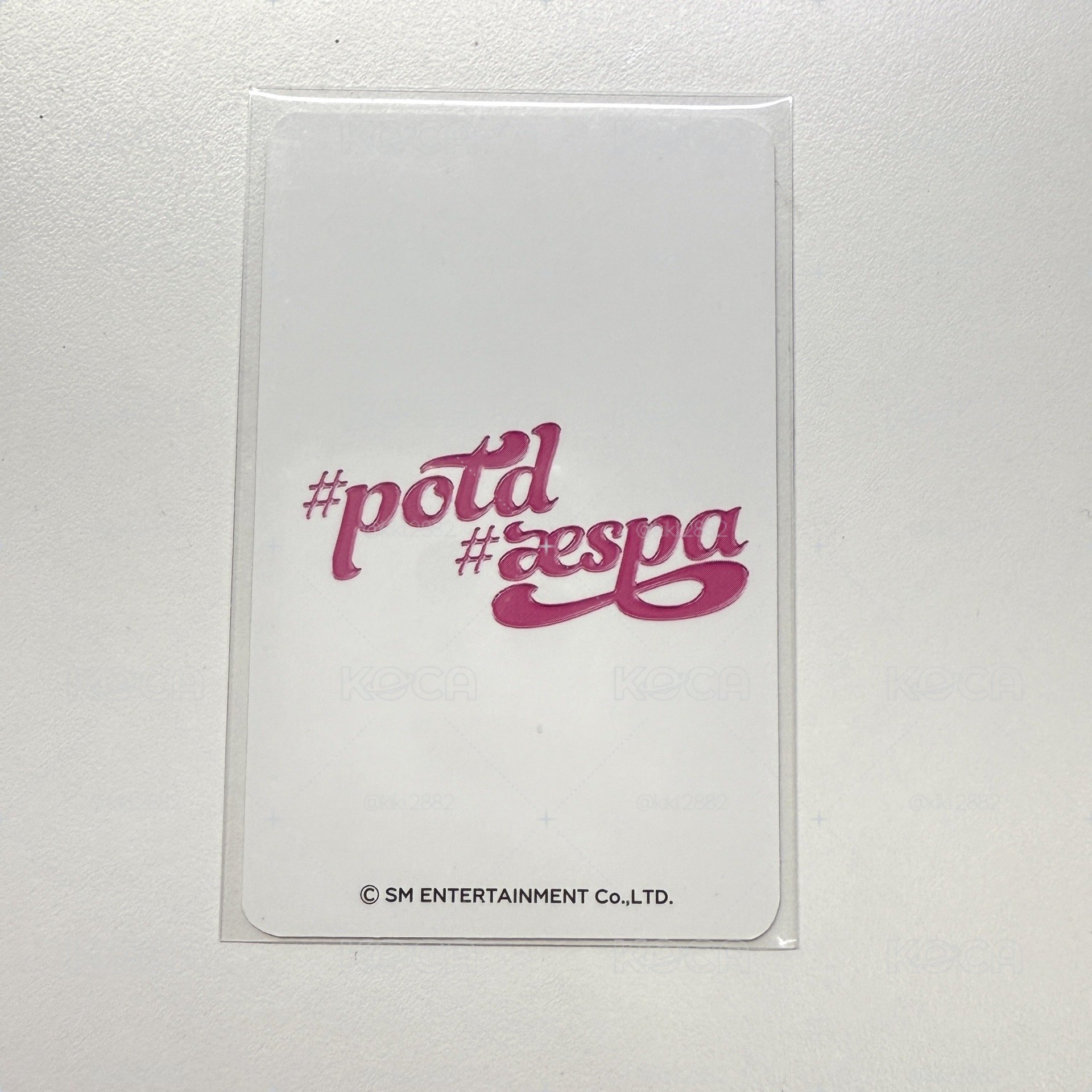 potd展會滿額貓耳冬 綁200