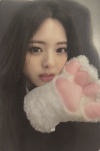 CHESHIRE sw 3.0 簽售卡 