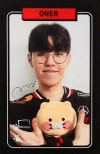 kakao聯名 周邊卡 春植