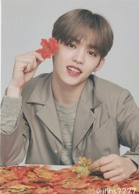 19’OTY 隨機卡 楓葉卡