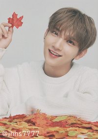 19’OTY 隨機卡 楓葉卡