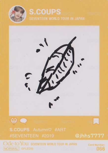 19’OTY 隨機卡 楓葉卡 背面