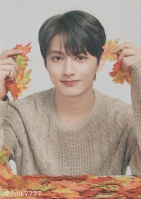 19’OTY 隨機卡 楓葉卡