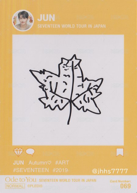 19’OTY 隨機卡 楓葉卡 背面