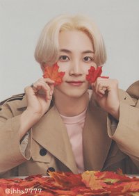 19’OTY 隨機卡 楓葉卡