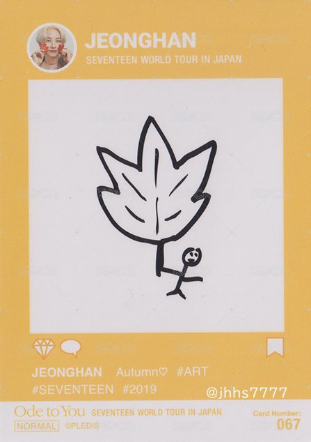 19’OTY 隨機卡 楓葉卡 背面