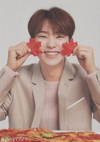 19’OTY 隨機卡 楓葉卡