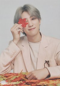 19’OTY 隨機卡 楓葉卡