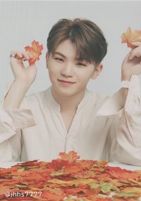 19’OTY 隨機卡 楓葉卡