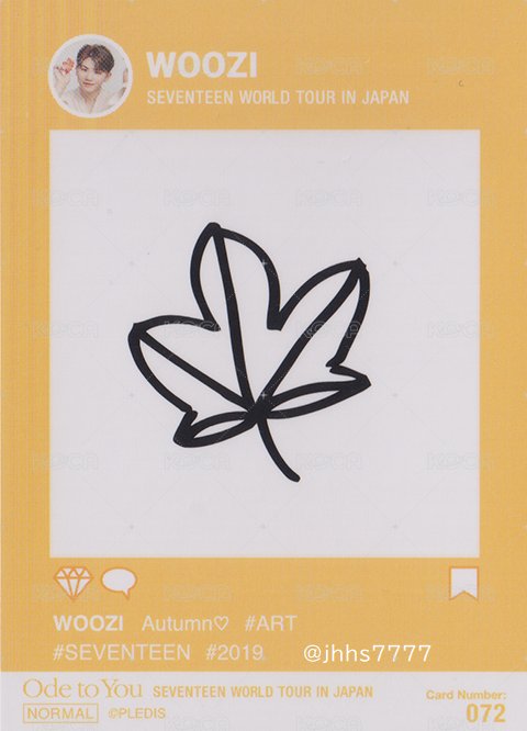 19’OTY 隨機卡 楓葉卡 背面