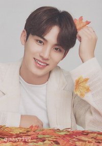 19’OTY 隨機卡 楓葉卡