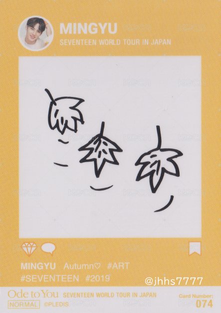 19’OTY 隨機卡 楓葉卡 背面