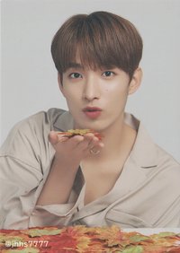 19’OTY 隨機卡 楓葉卡