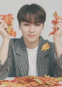 19’OTY 隨機卡 楓葉卡