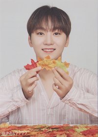 19’OTY 隨機卡 楓葉卡