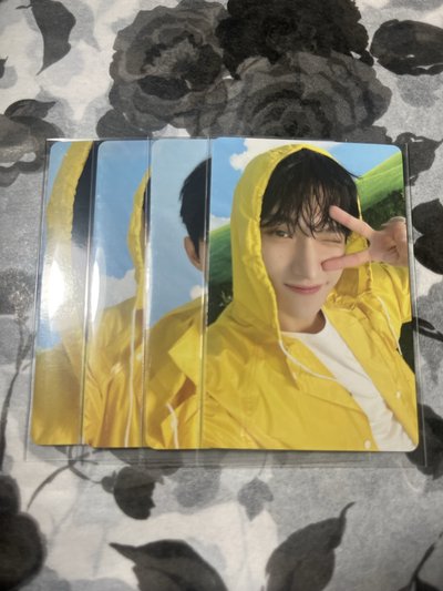 💎SVT迷11碩珉專輯卡