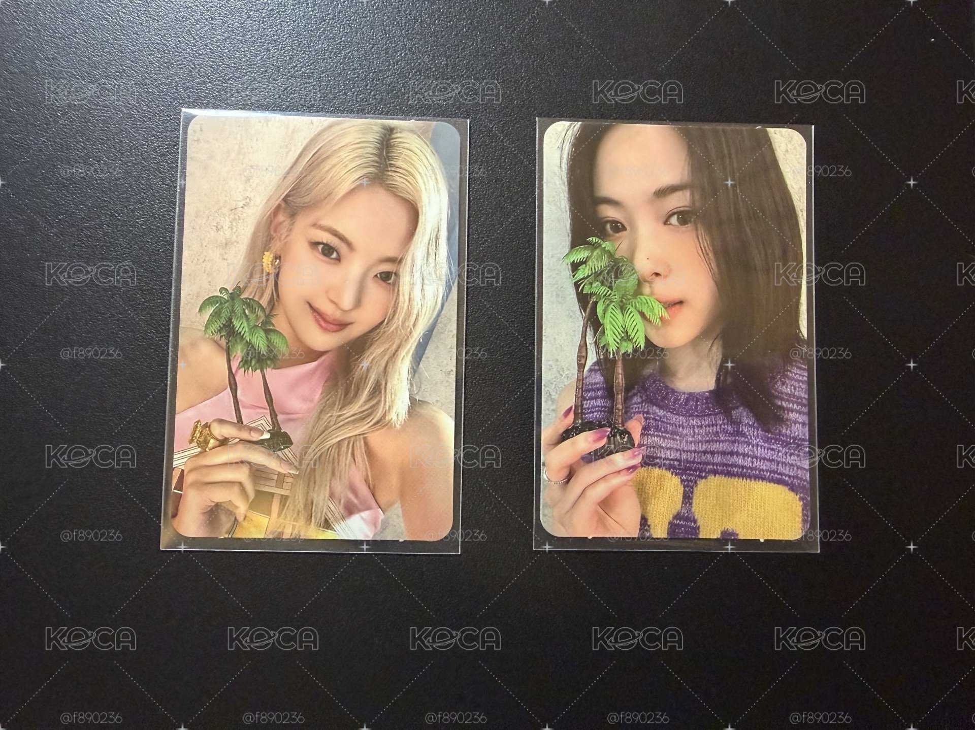 itzy 椰子樹