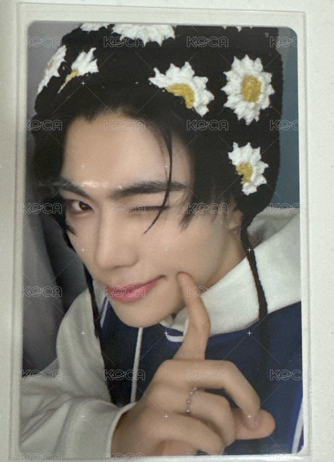 花花旭