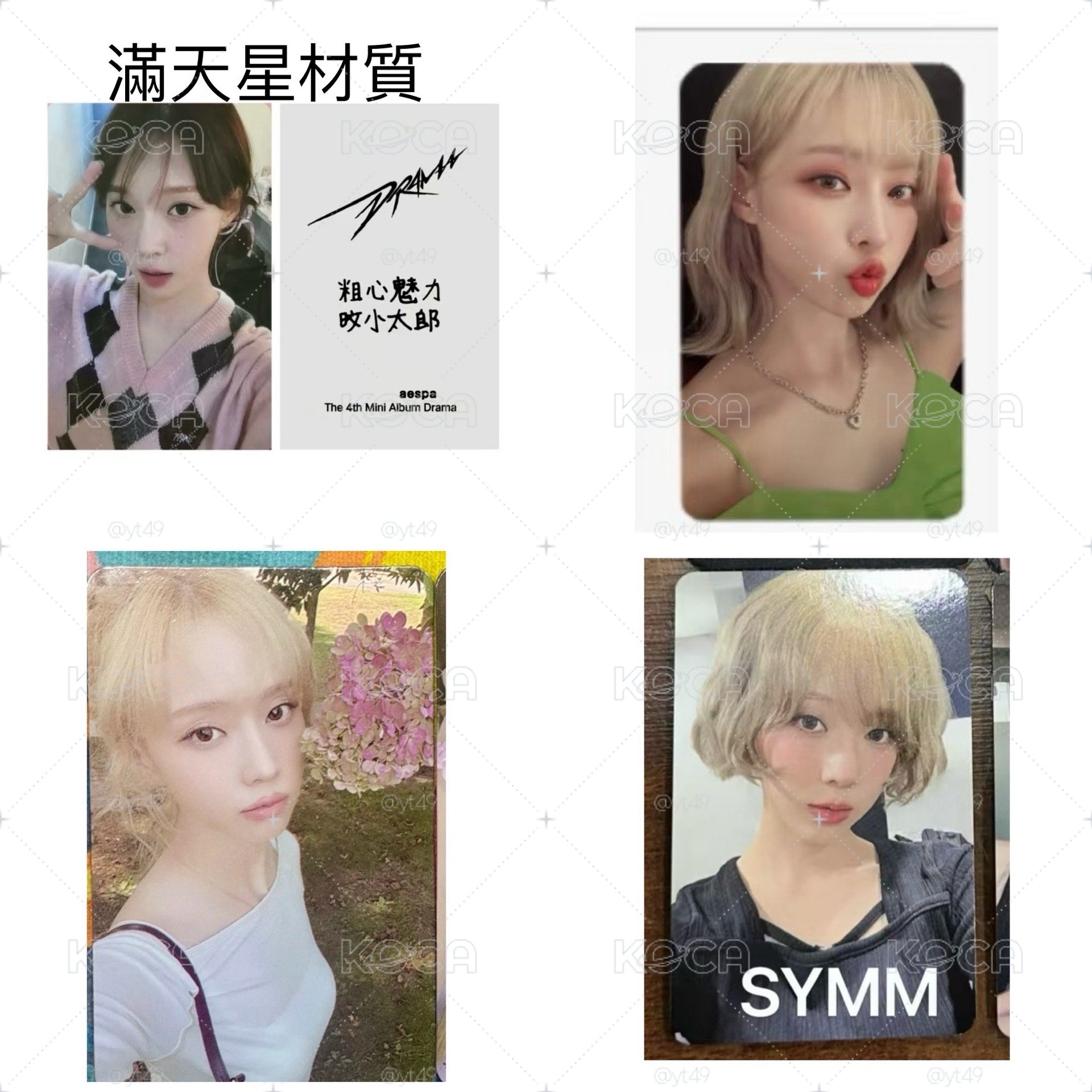 草莓冬小盤