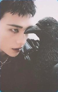 DO IT 專輯卡 Platform Plve ver. 固配