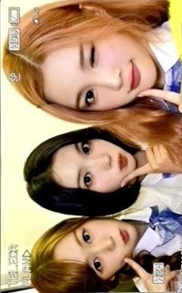 25新秀 Teleca 隨機卡 稀有款