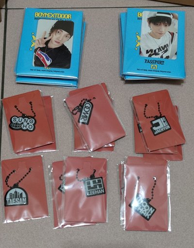 【含隨機特典】 wvs 電子專