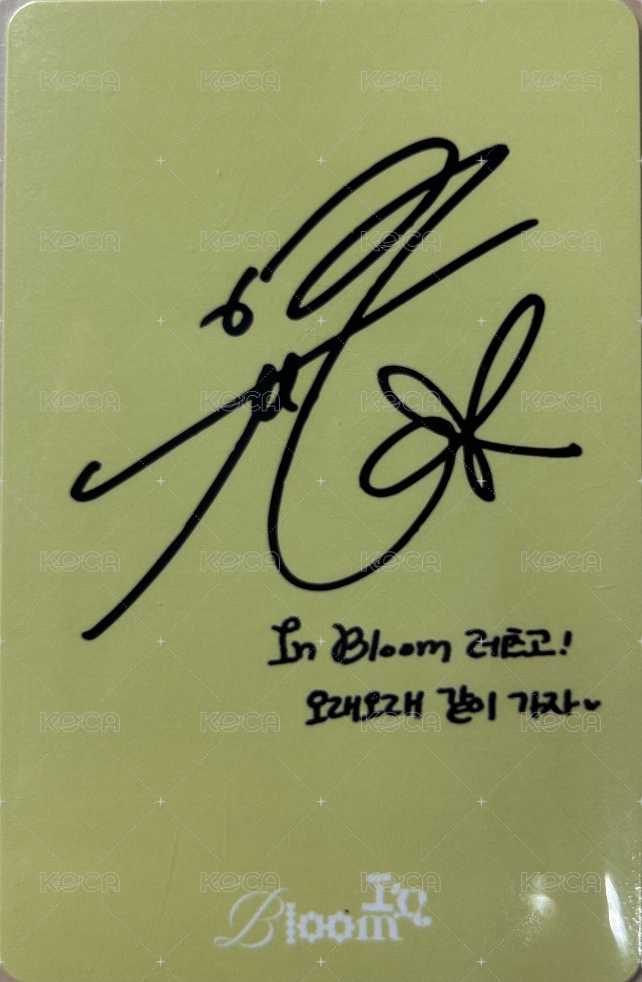 In Bloom 專輯卡  背面