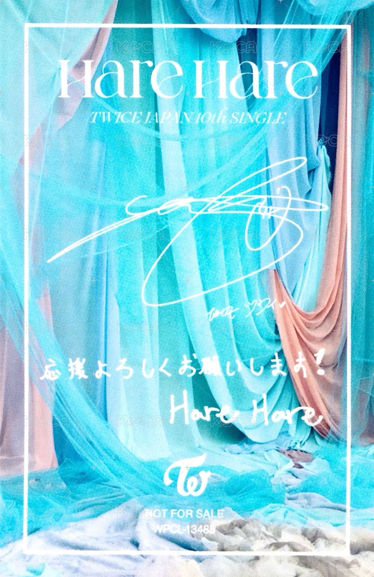 Hare Hare 專輯卡  背面