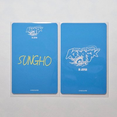 🐈KNOCK ON日巡自拍卡+卡包卡