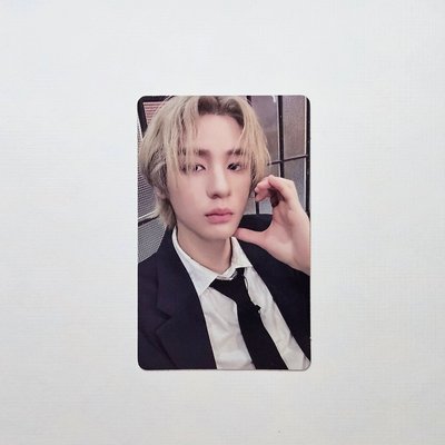 🐠19.99WVS預售特典