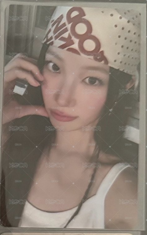 wvs 單封預售葉