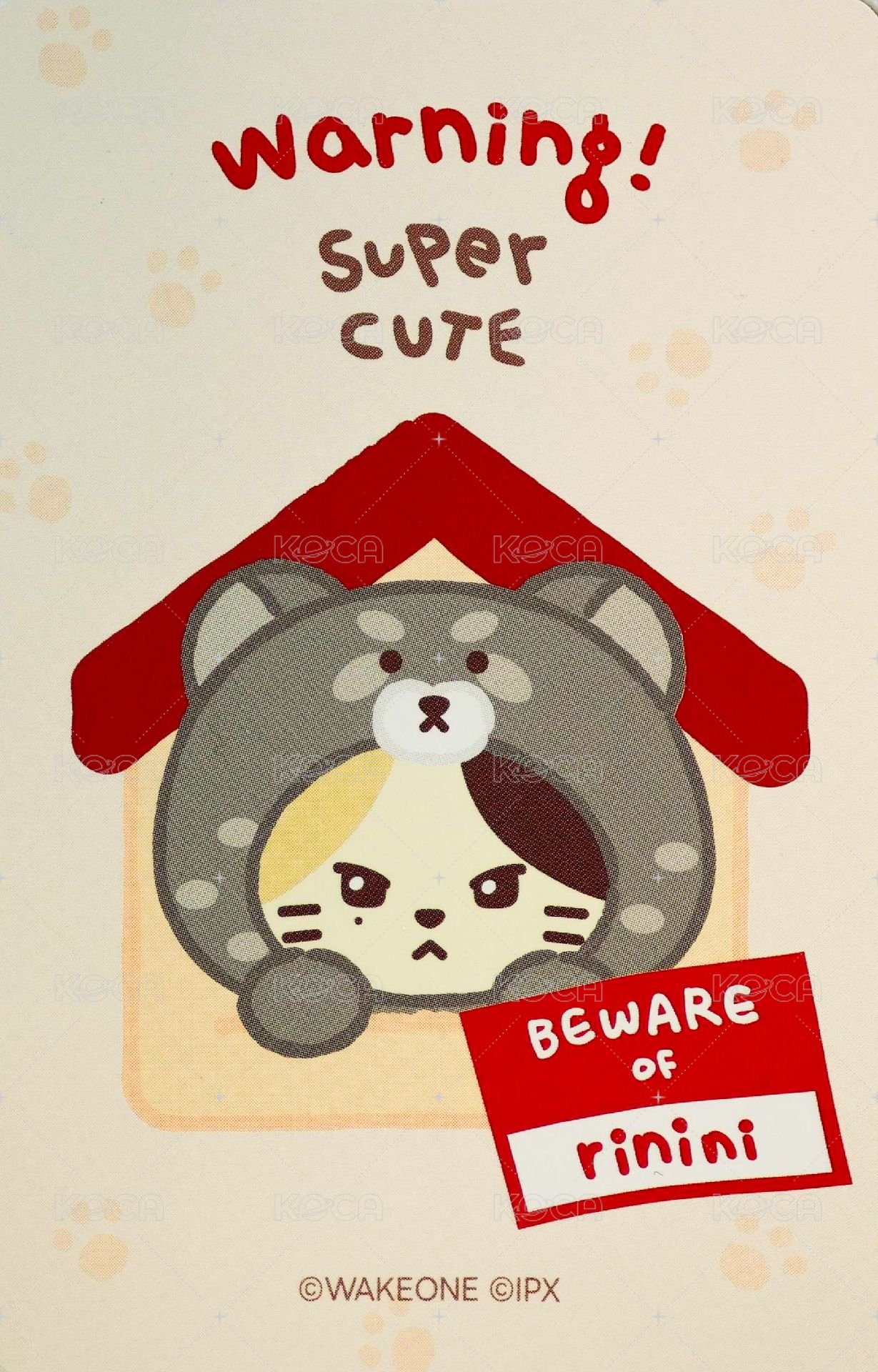 zeroni FW 滿額卡  背面