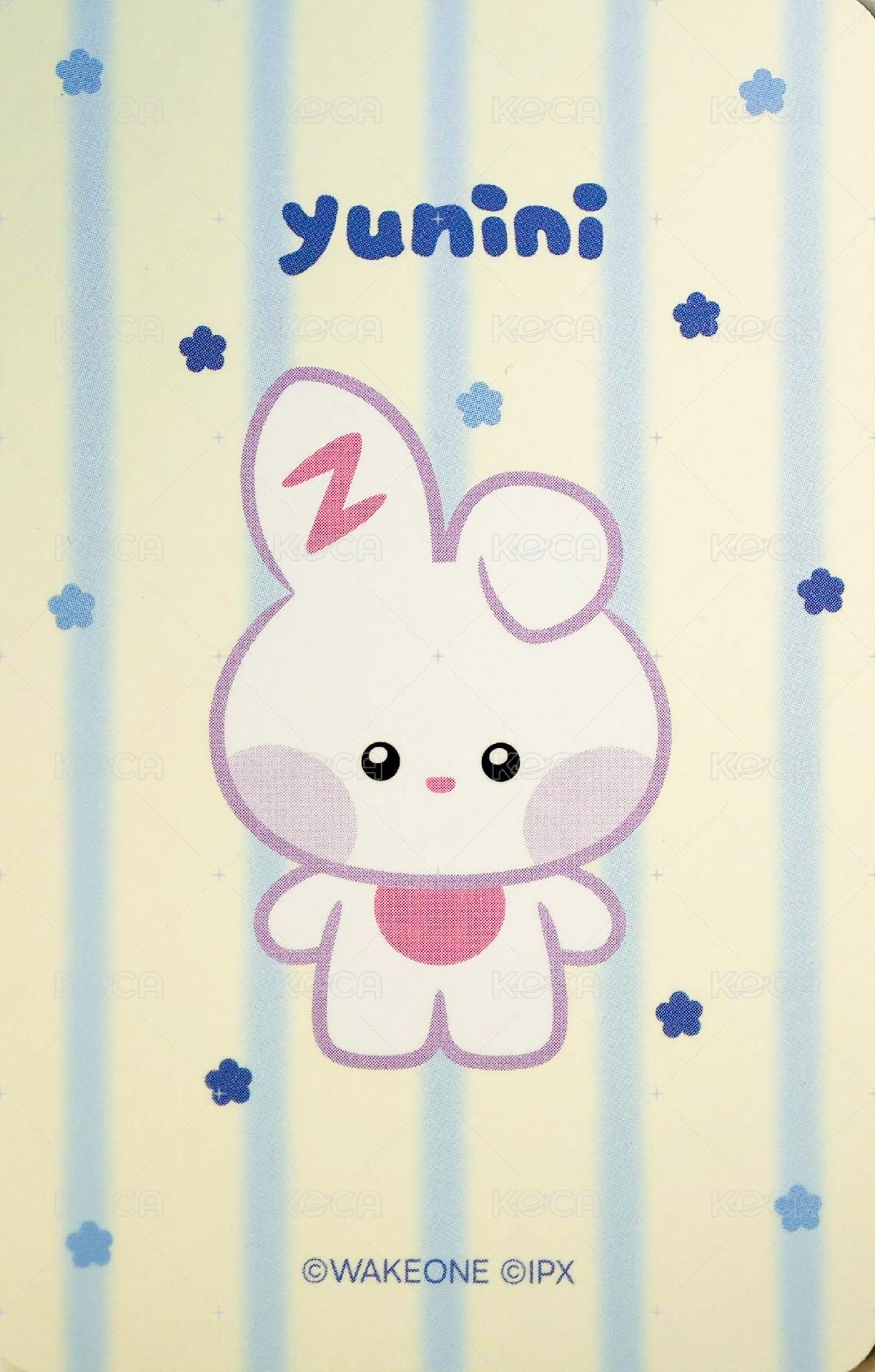 zeroni FW 周邊卡 收納包卡 背面