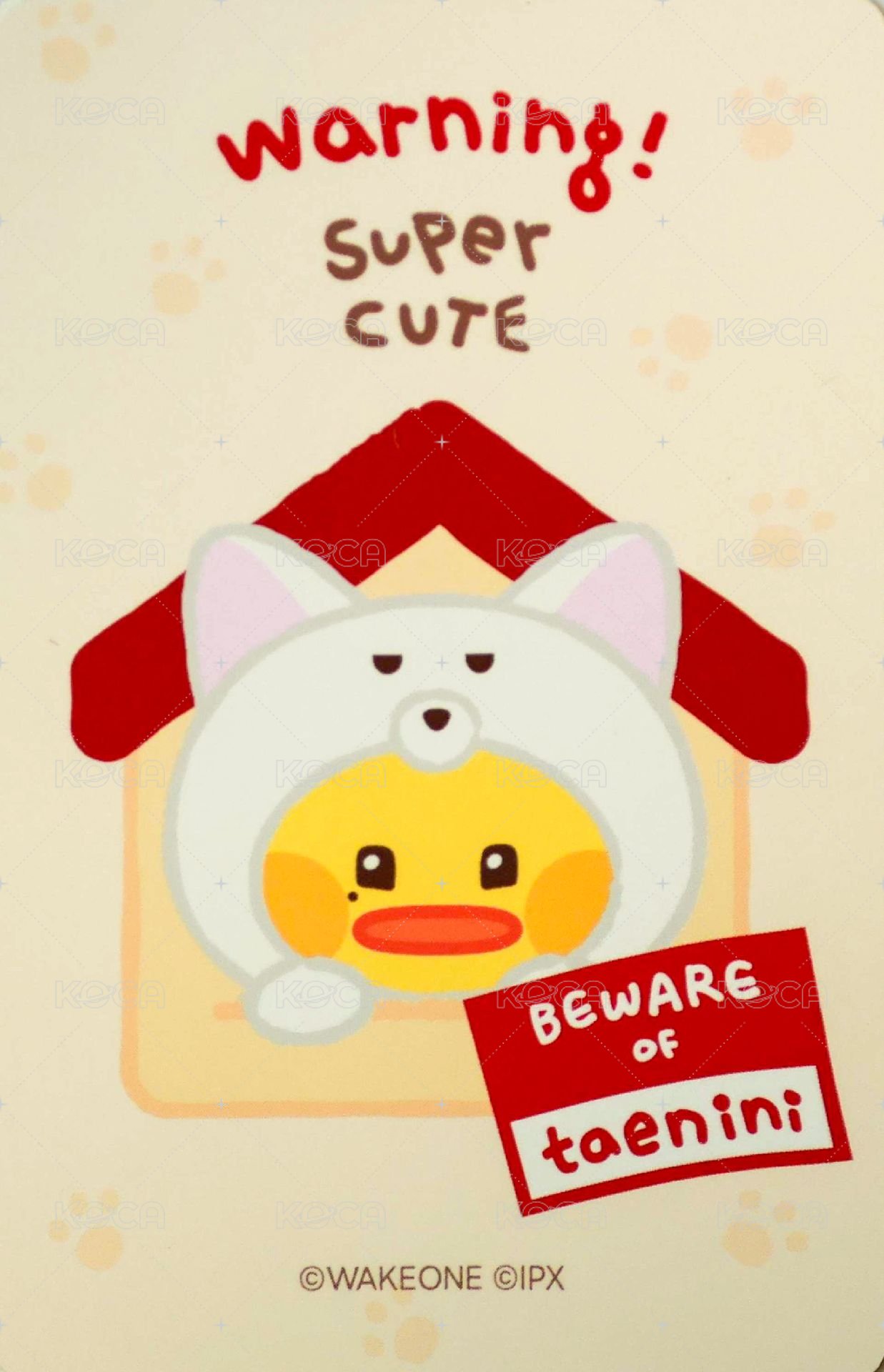 zeroni FW 滿額卡  背面