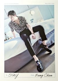 Stay in STAY 明信片 