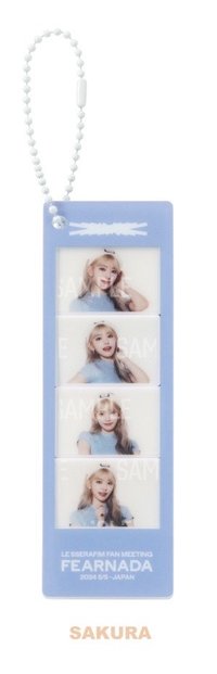 Photo Magnet Keyring