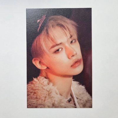 🦊MESS ver.明信片